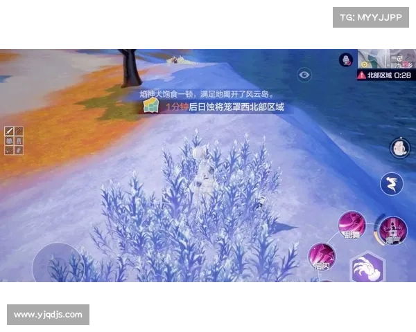 风云岛行动宝箱获取全攻略与实用技巧分享