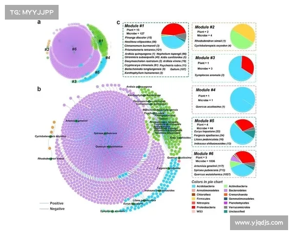轩辕剑5免CD补丁的作用与解决方案分析