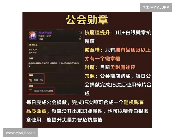 深度解析DNF圣骑士加点技巧与策略提升角色战力的关键要素